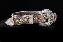 Load image into Gallery viewer, Buckle Set - Western Rope